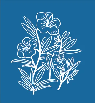 Calle de las Maravillas en Getsemaní, conocida por las anécdotas que explican el origen de su nombre y su tradición comunitaria