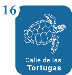La Calle de las Tortugas en Getsemaní, Cartagena, un rincón con historia ligada al agua, la pesca y la vida del barrio